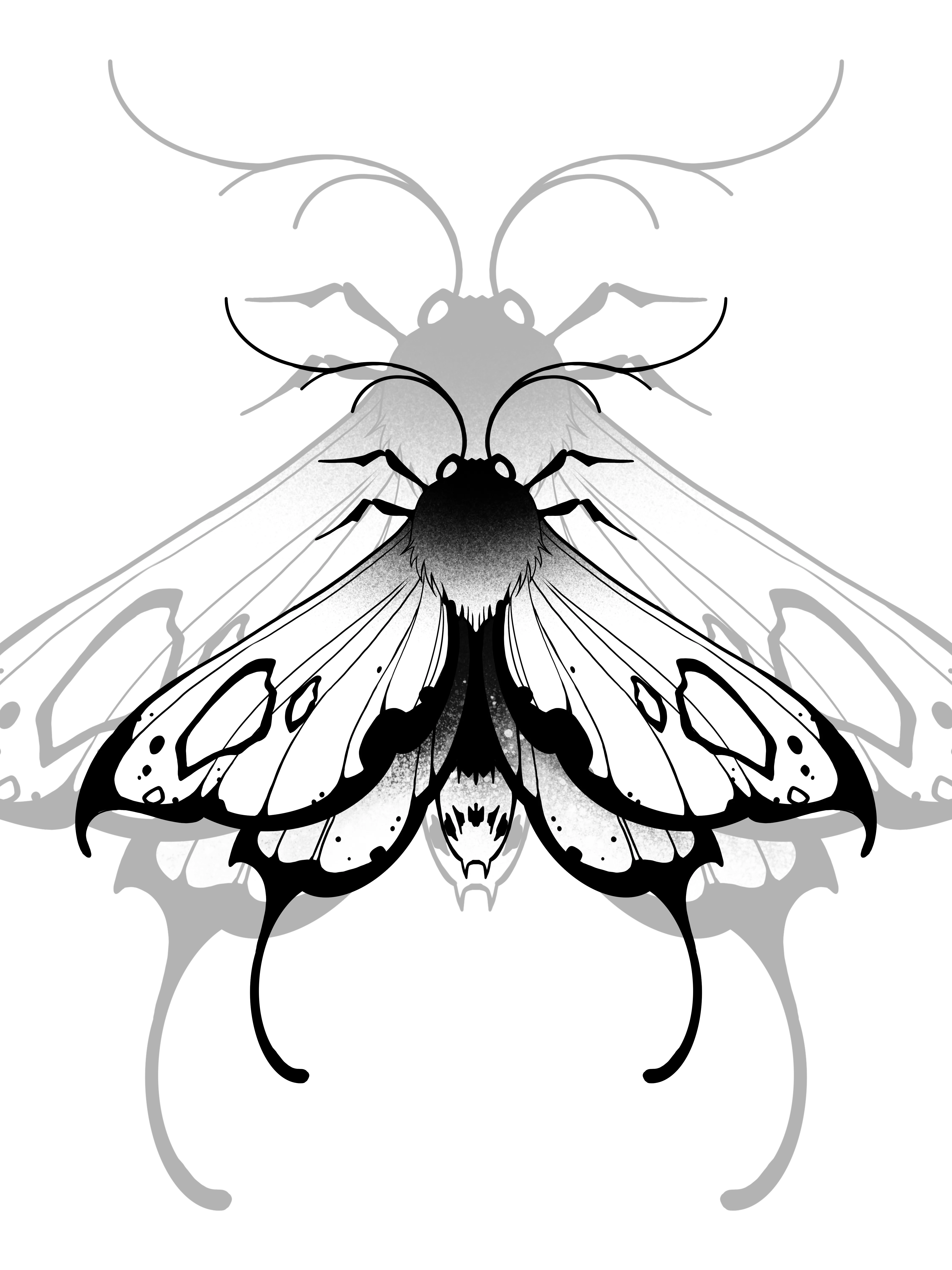 Moth to a Flame