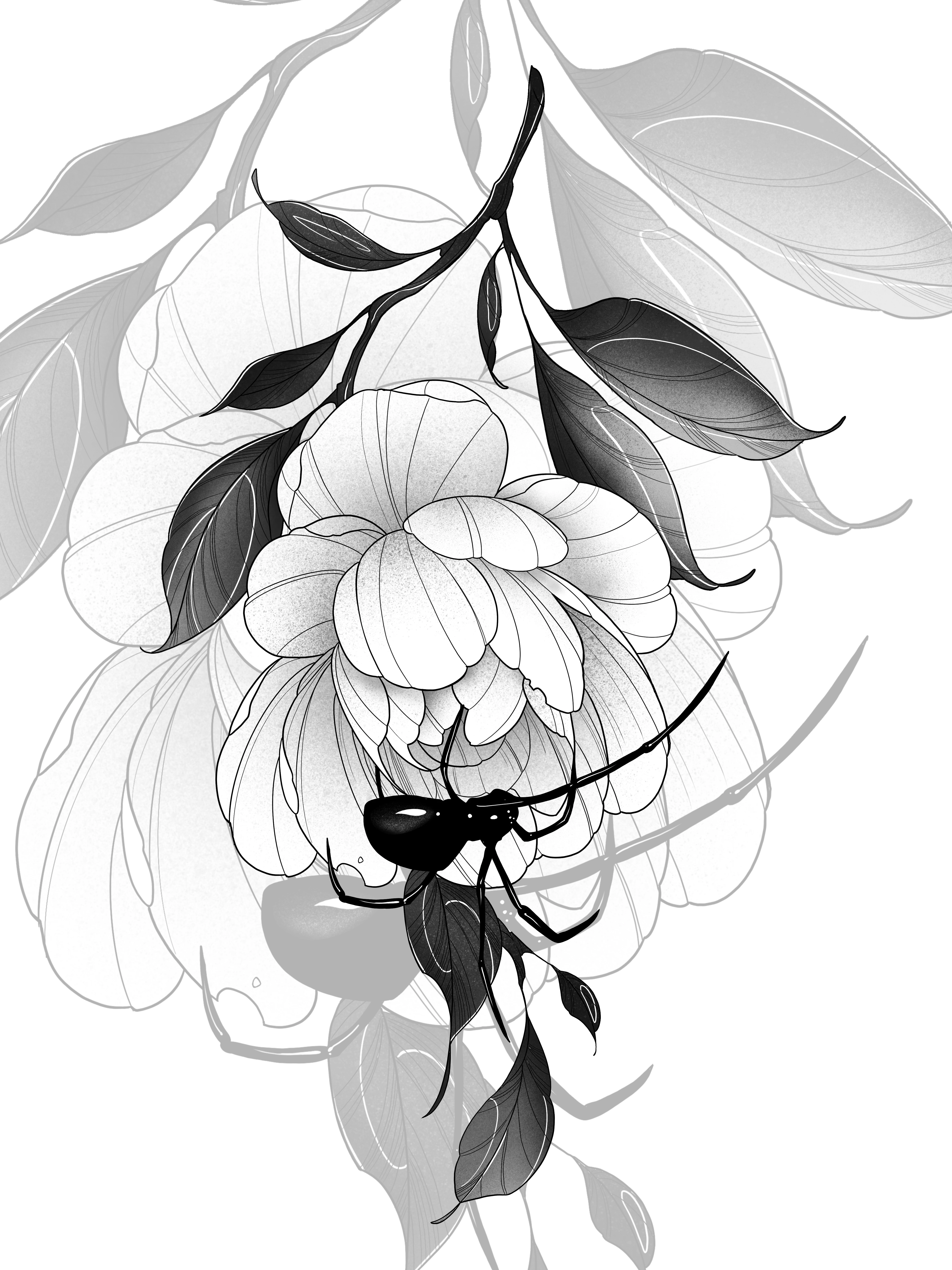 Petals