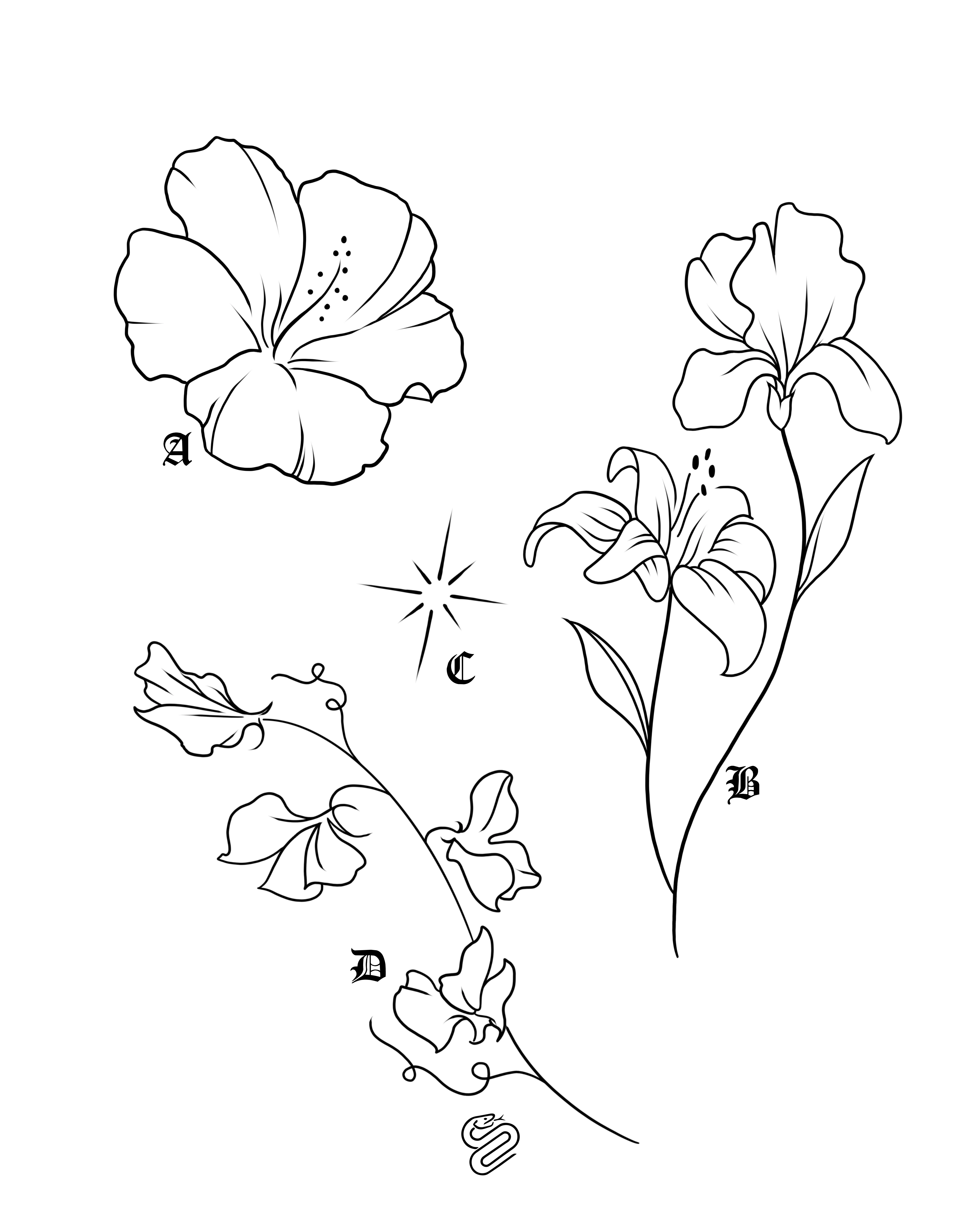 flower flashes